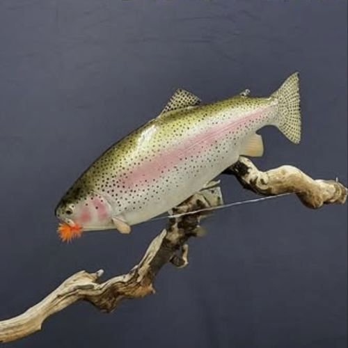 Rainbow trout replica on log with fly in mouth