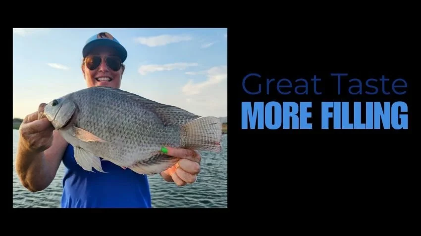 Big tilapia caught at Lake El Salto Mexico