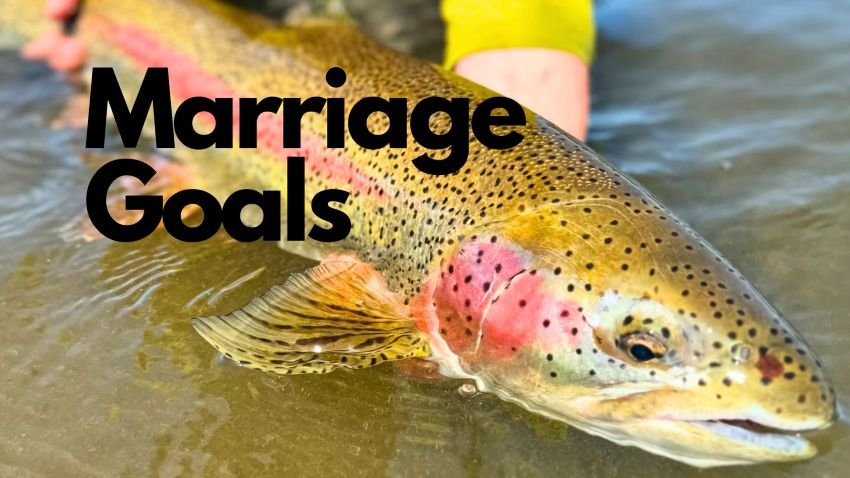 Trophy Alaska Rainbow Trout being released