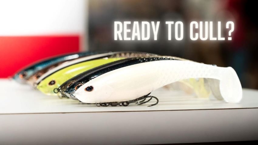 What Are You Using to Cull? — Half Past First Cast