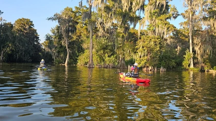 kayaking in swamp learning to take better photographs