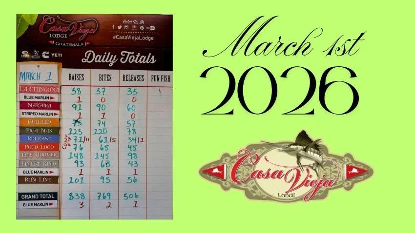 Record sailfish numbers Casa Vieja Lodge March 2026