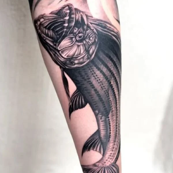 ultra-realistic black and white tattoo Africa tigerfish open jaws
