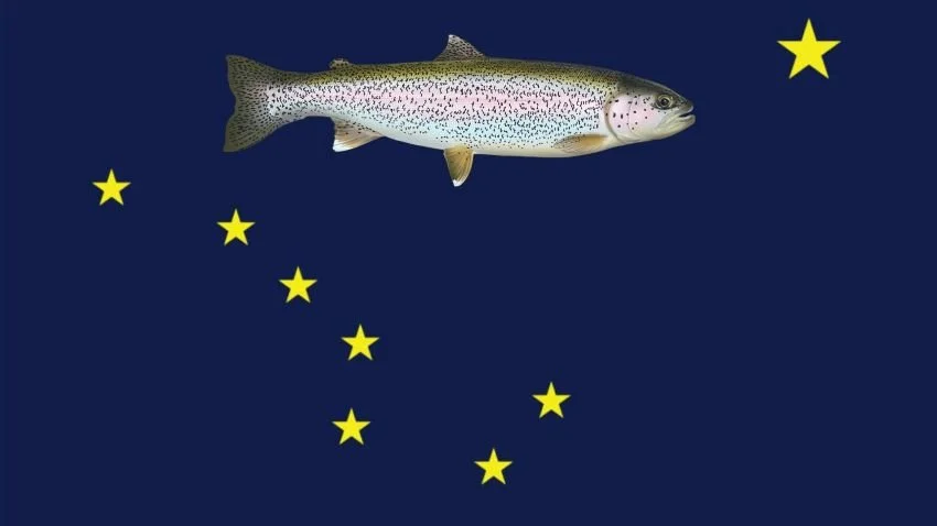 rainbow trout png over Alaska flag
