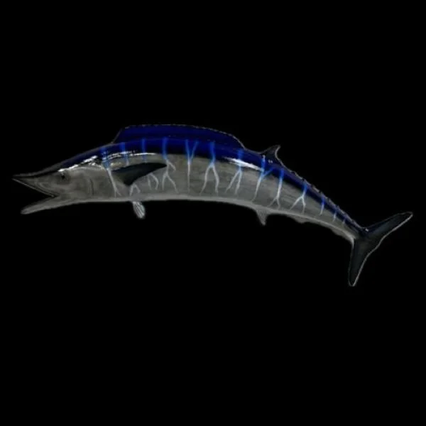 Pelagics Unlimited Wahoo Taxidermy