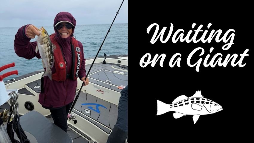 Hanna Robbins with a small calico bass in California
