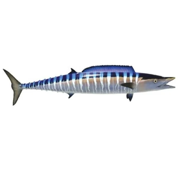 Gray Taxidermy Wahoo fiberglass replica