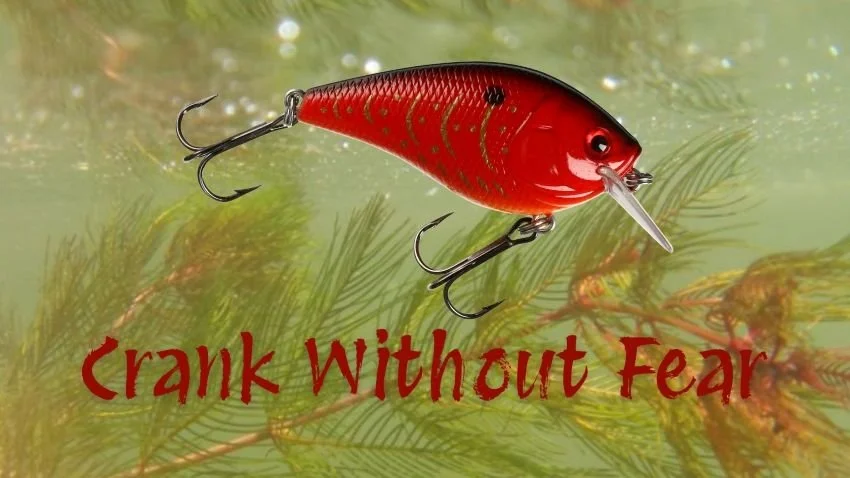 Red Square Bill crankbait in early season milfoil