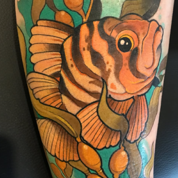 Canary Rockfish tattoo
