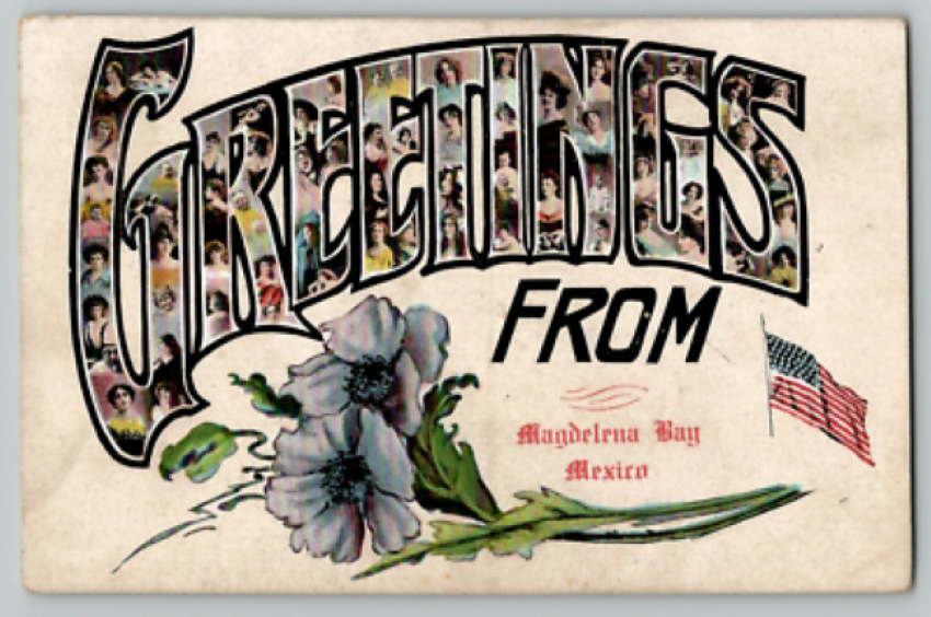 Postcard Greetings from Magdalena Bay BCS Mexico