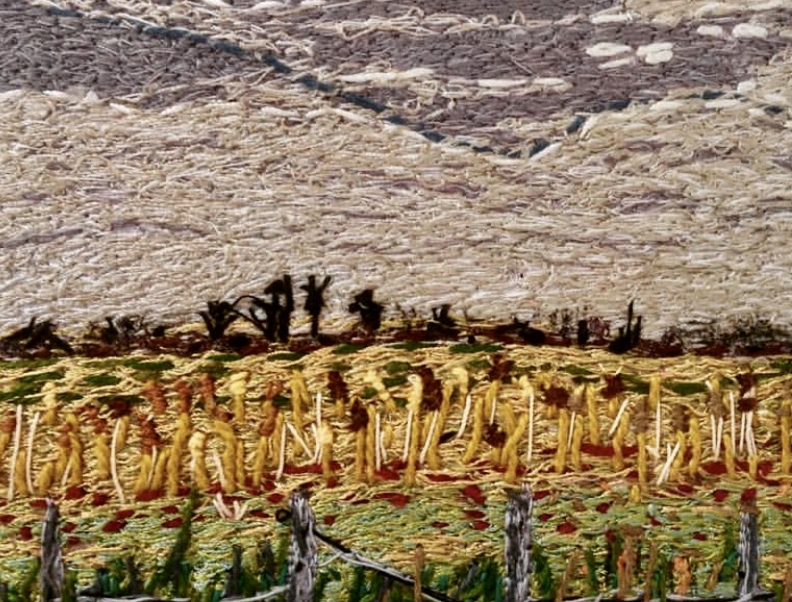 Screen Shot 2022-01-30 at 6.21.42 pm.png