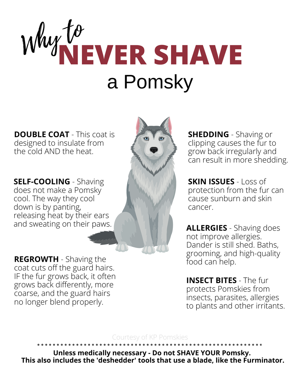 Do Pomsky Dogs Shed A Lot