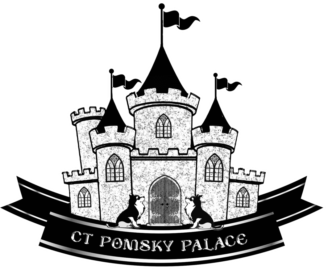 CT Pomsky Palace - Stafford Springs CT