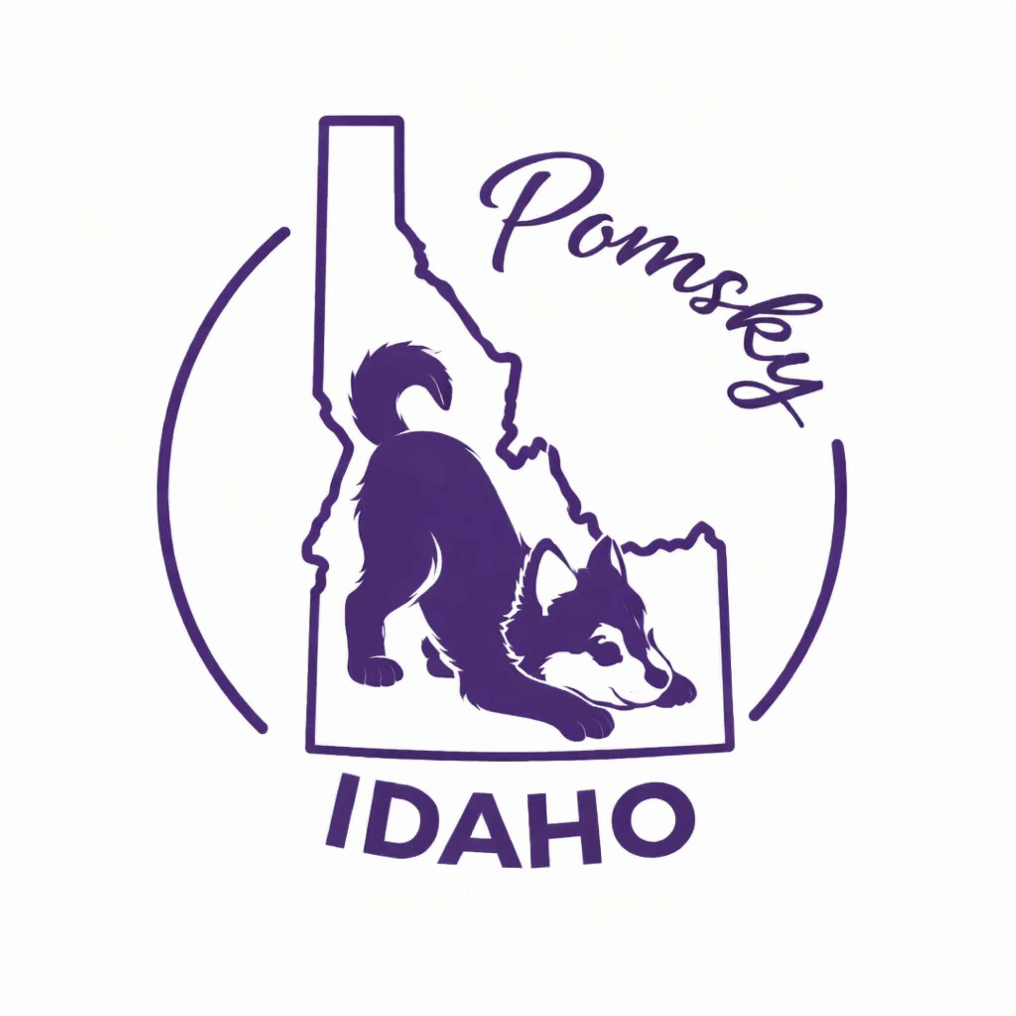 Idaho Pomsky - Idaho Falls, ID