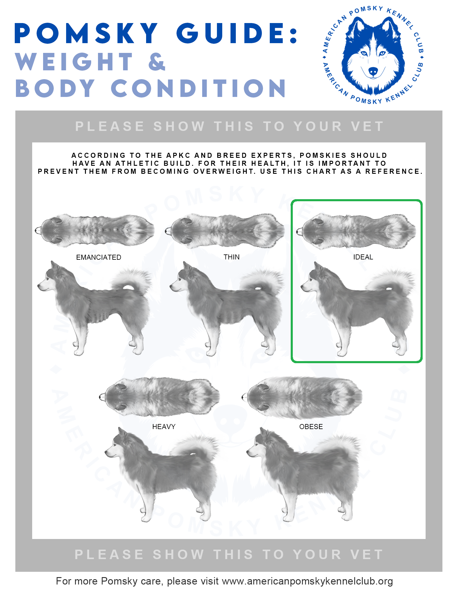 Pomsky Chart *Pomsky Weights and Body Condition — APKC