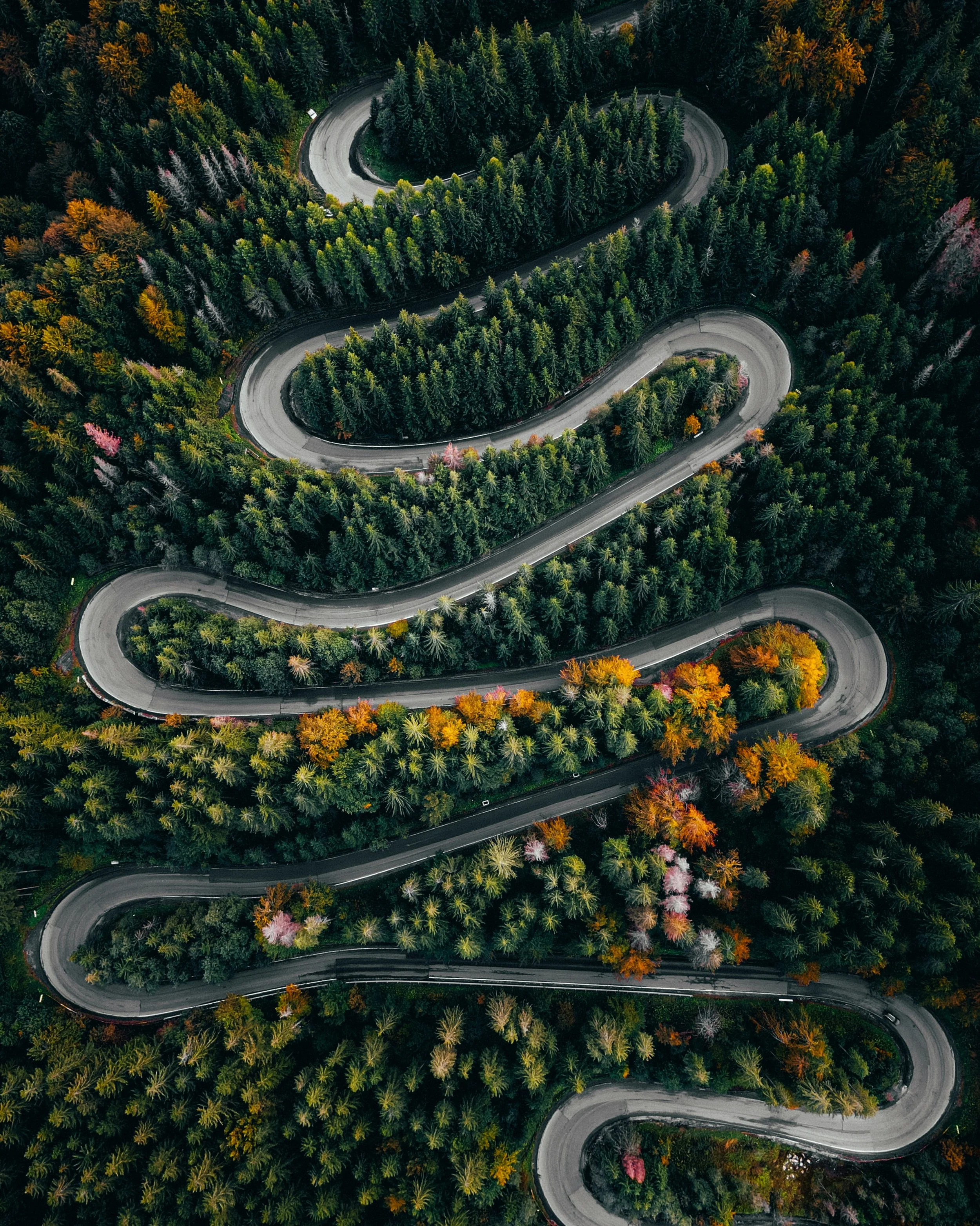 2025: A year of Pivots, Pullbacks, and Purpose