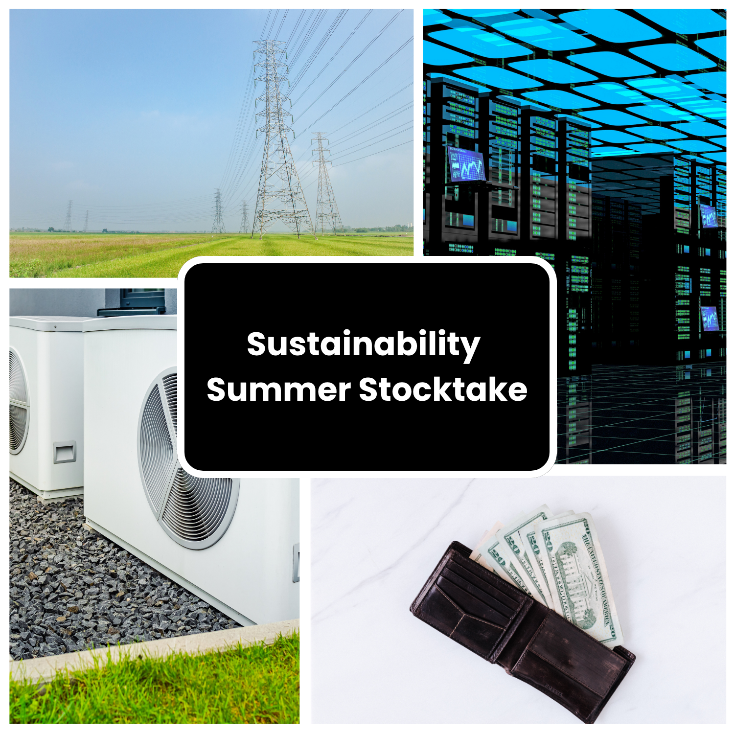 Sustainability Summer Stocktake
