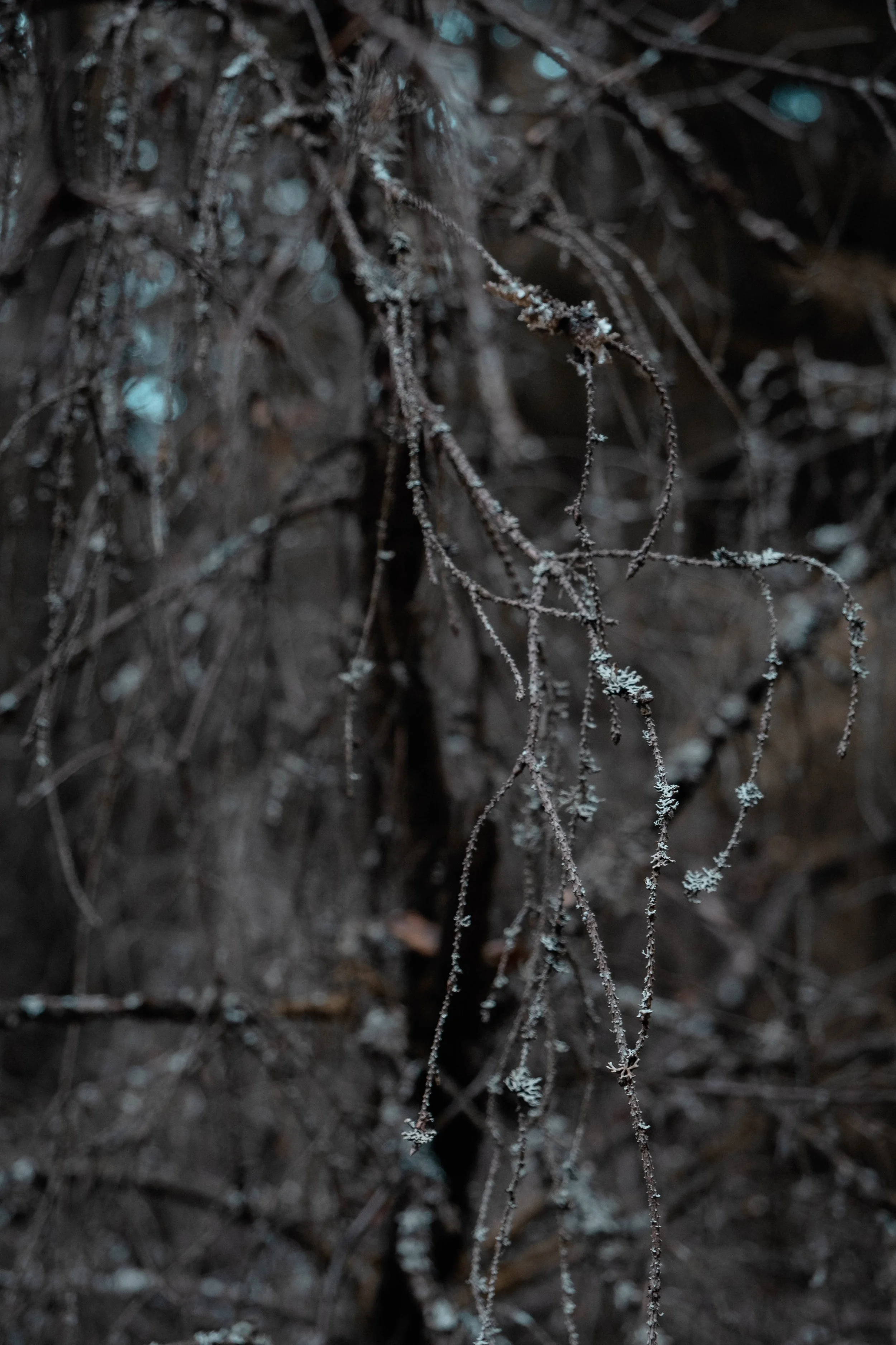 DSCF3269.jpg