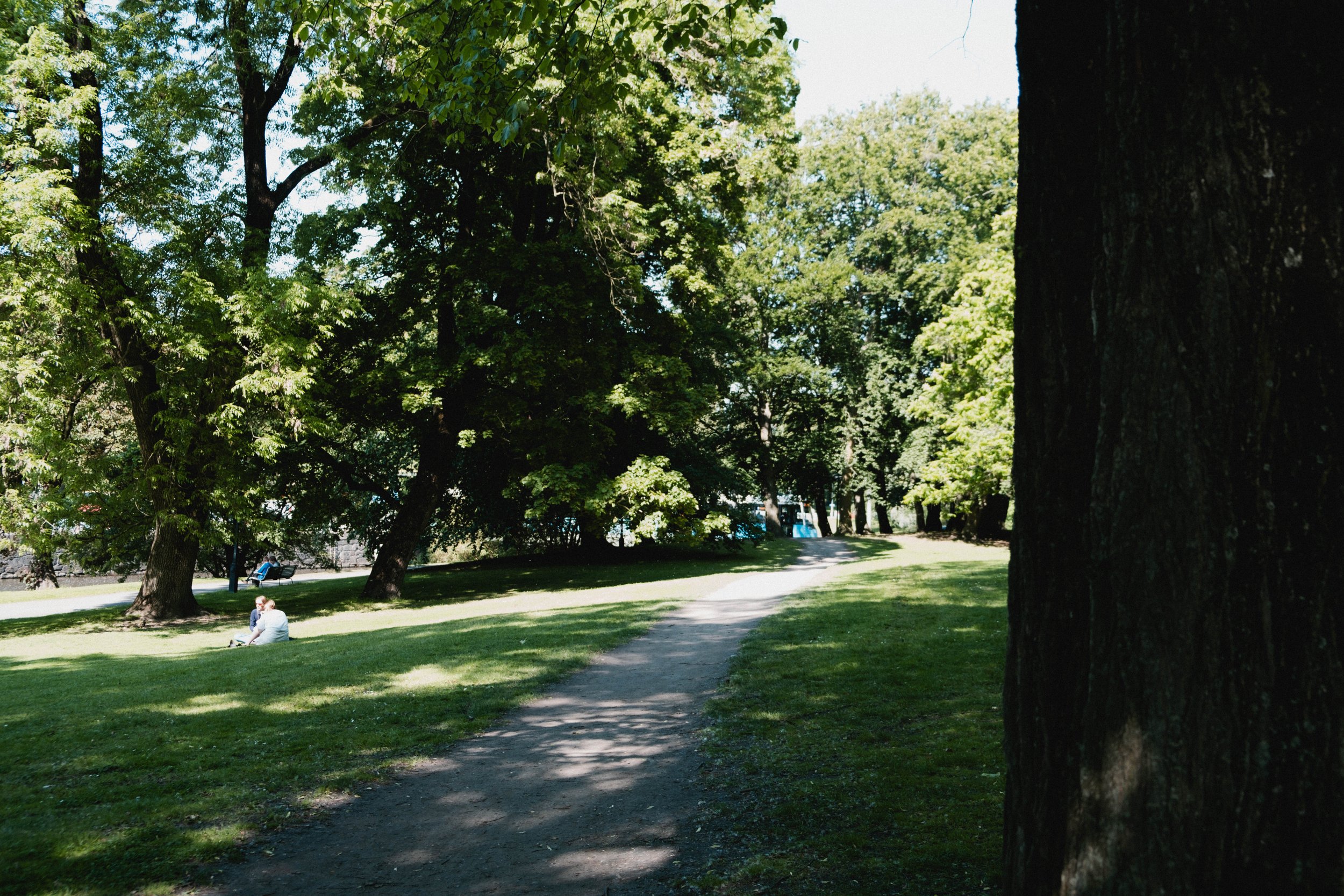 DSCF4392.jpg