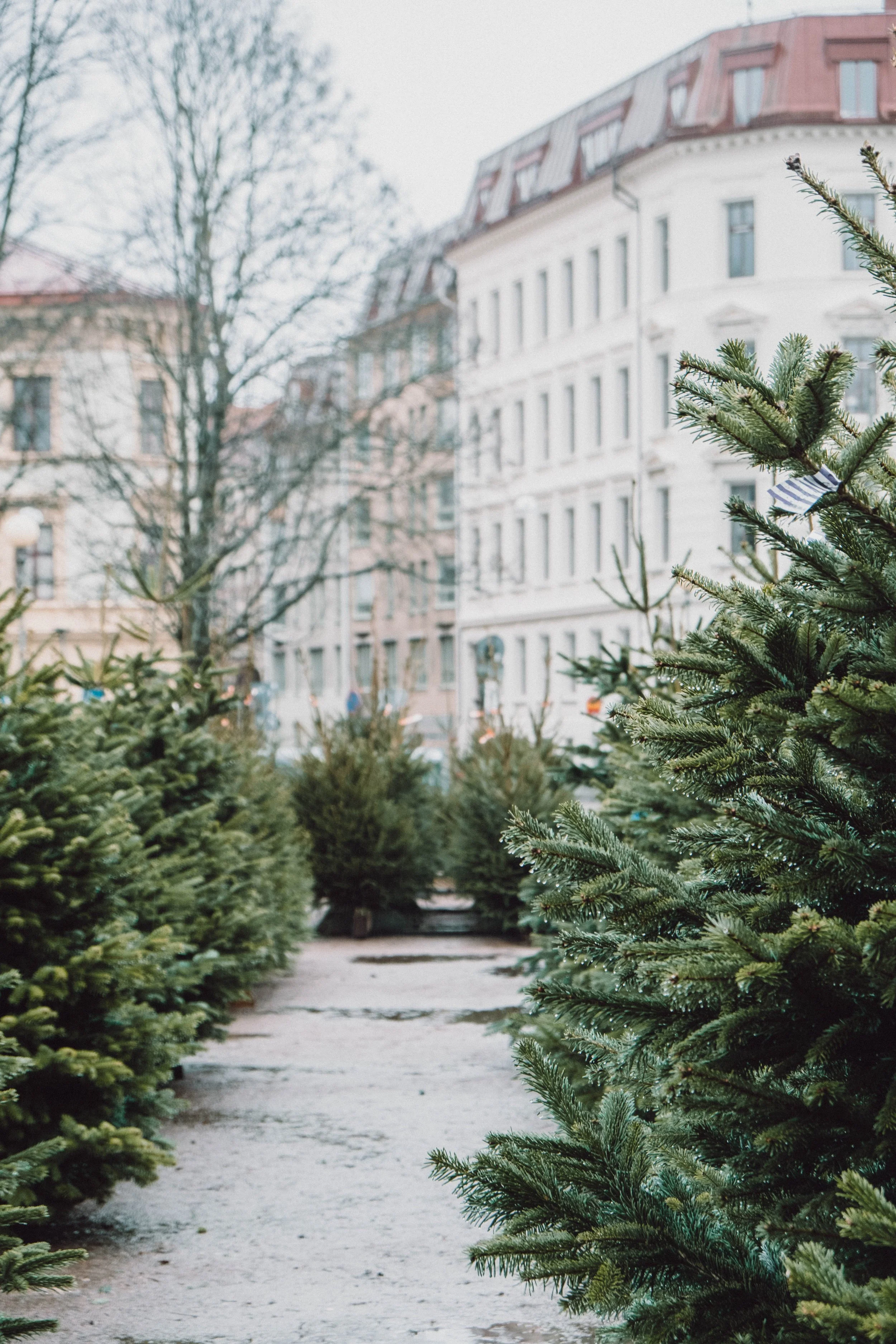 The Season for Small, Courageous Reaches