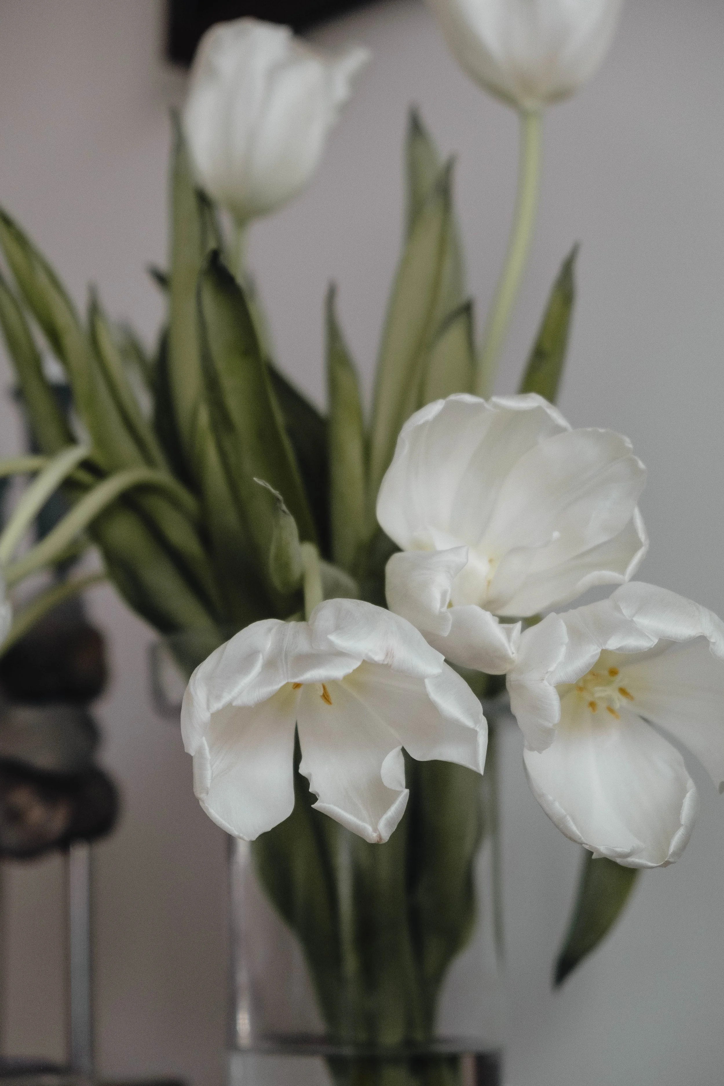 Signs of Living, Everywhere