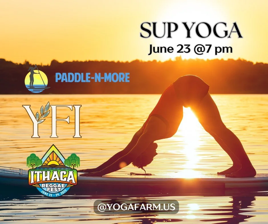 Yoga Village — Ithaca Reggae Fest