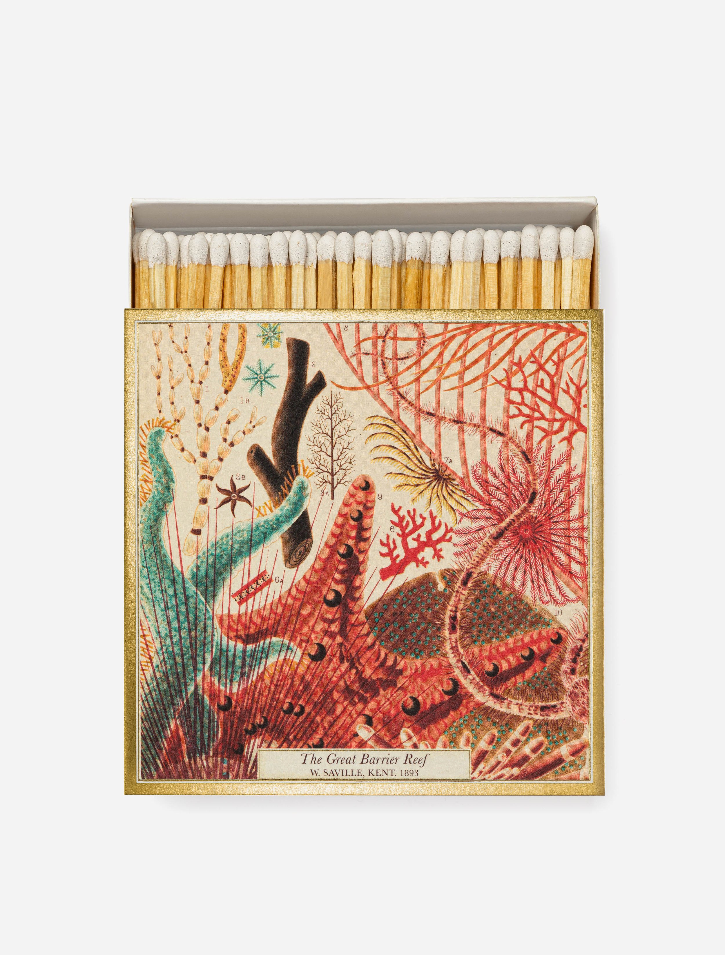 Nhm Great Barrier Reef Archivist Gallery Square Matches.jpg