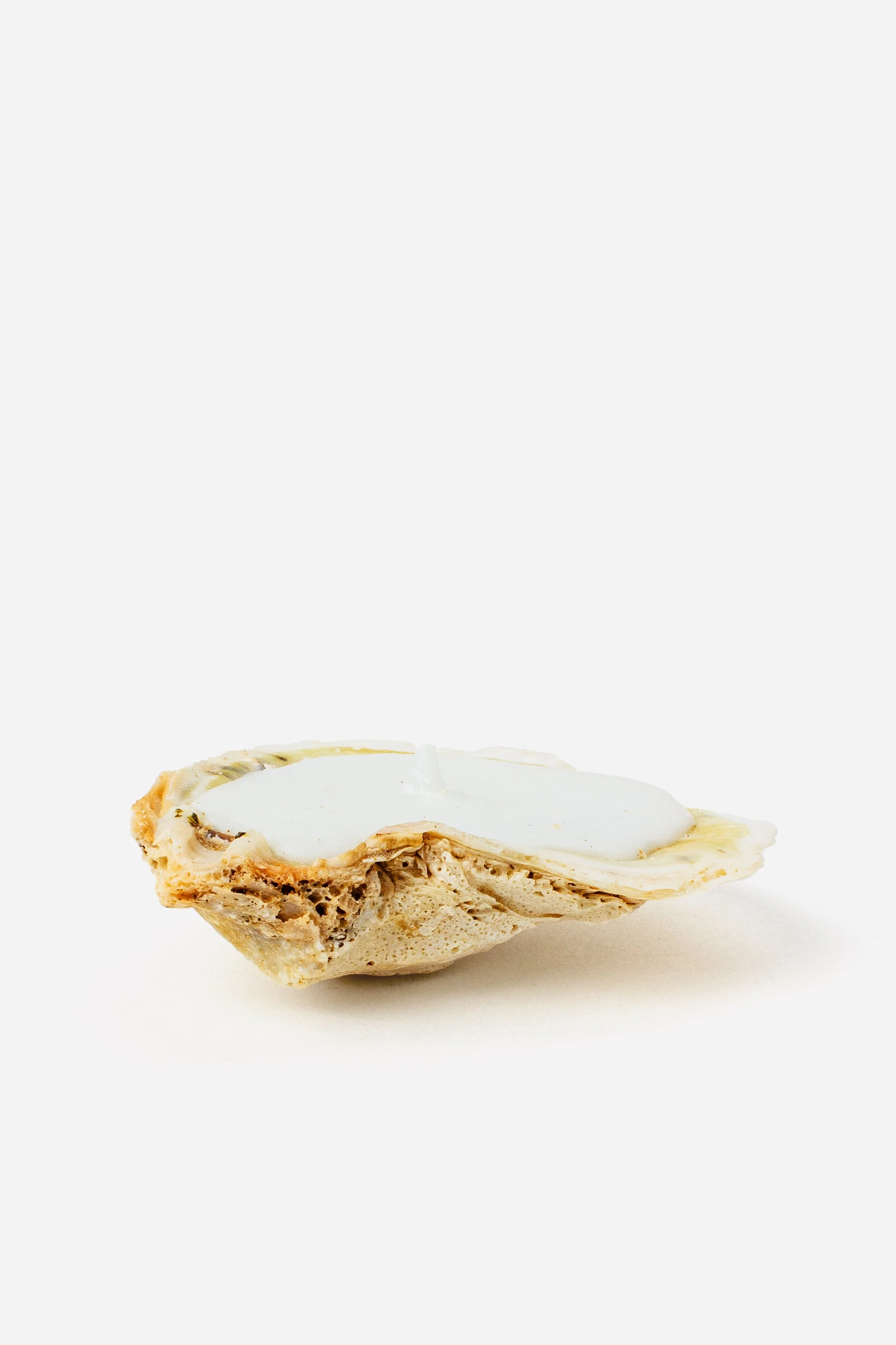 2 Oyster Shell Candle.jpg