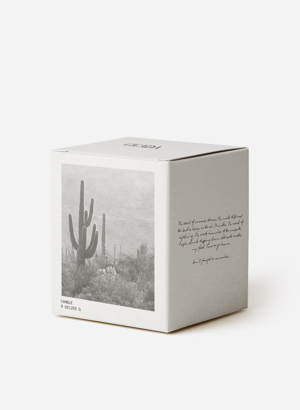 No 01 Medium Candle - the Scent of Summer Storms 2.png