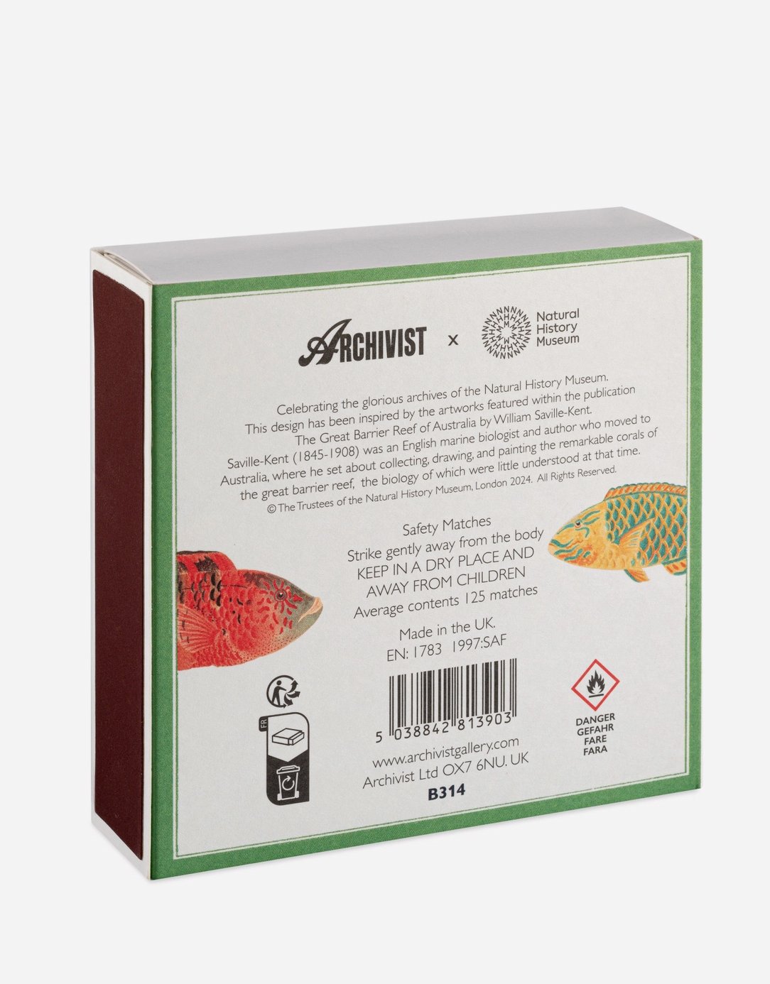 Natural History Museum Fish 2b Square Matches .jpg