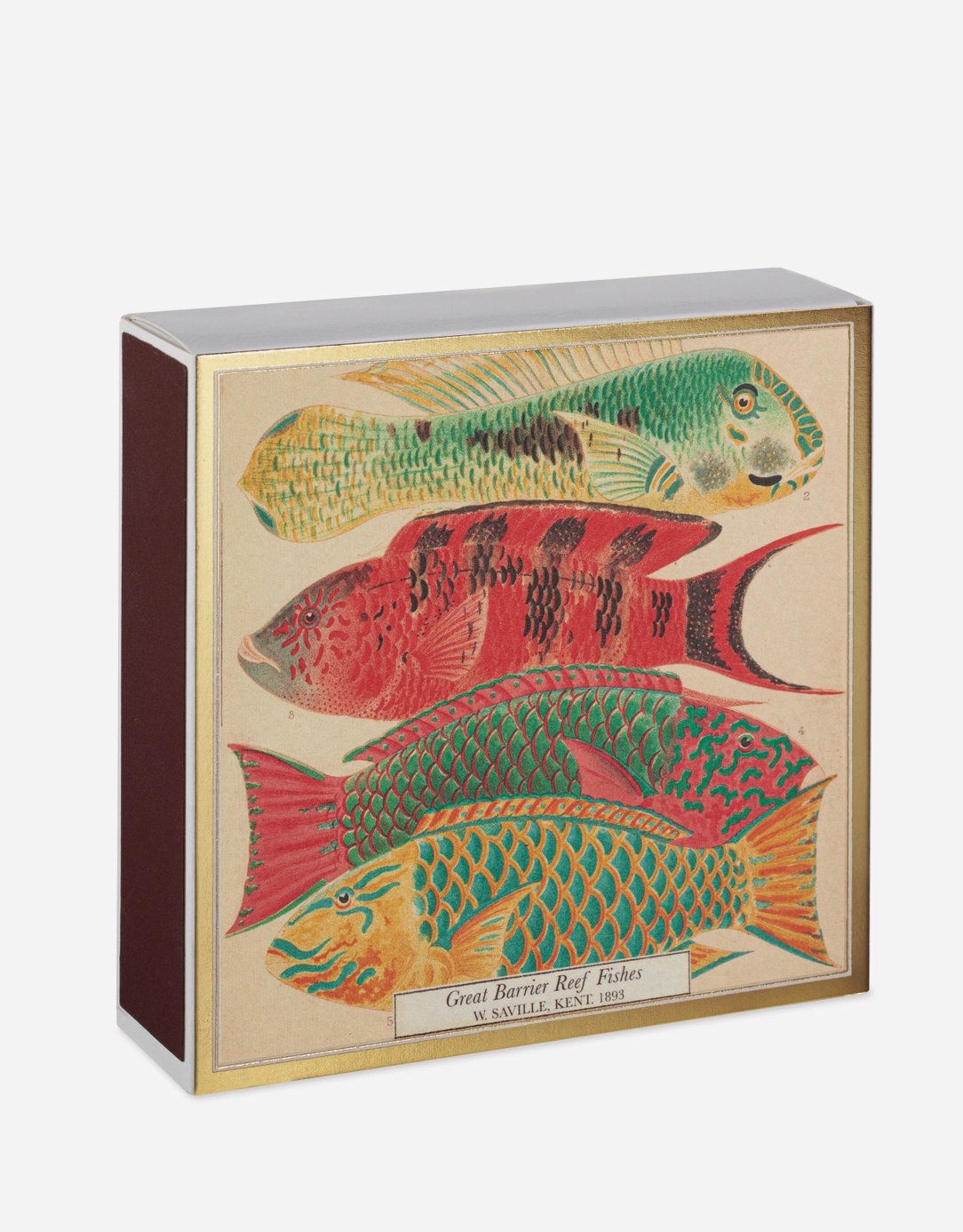 Natural History Museum Fish 2a Square Matches .jpg
