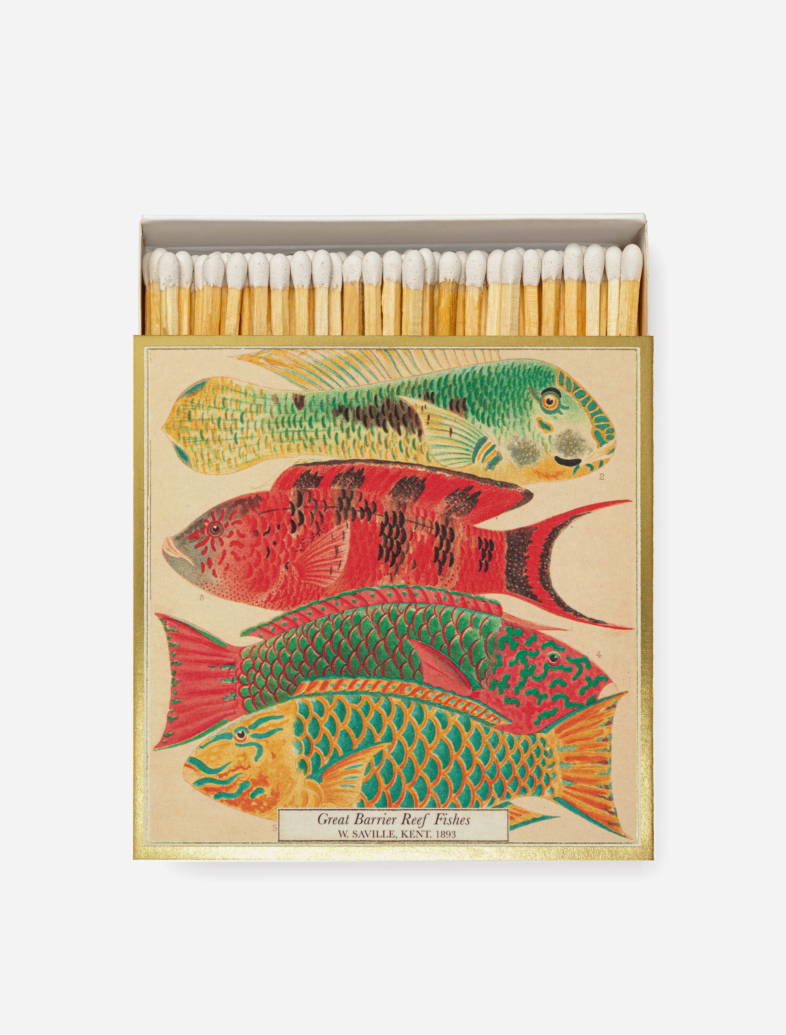 Natural History Museum Fish Archivist Gallery Square Matches.jpg