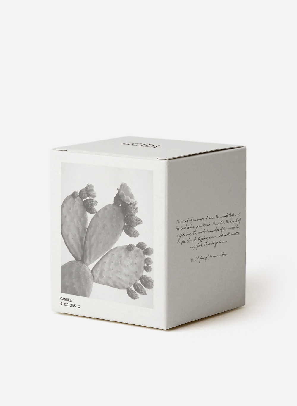 No 09 Medium Candle - the Scent of Prickly Pear 2.png