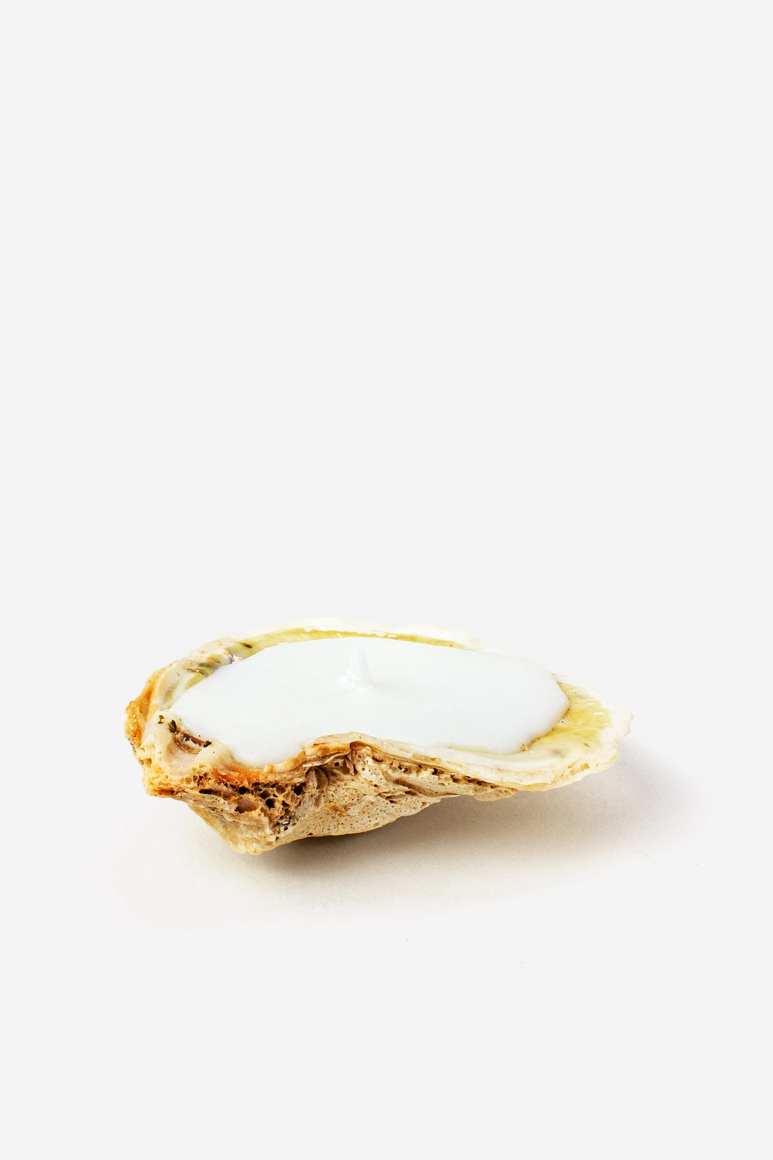 3 Oyster Shell Candle.jpg