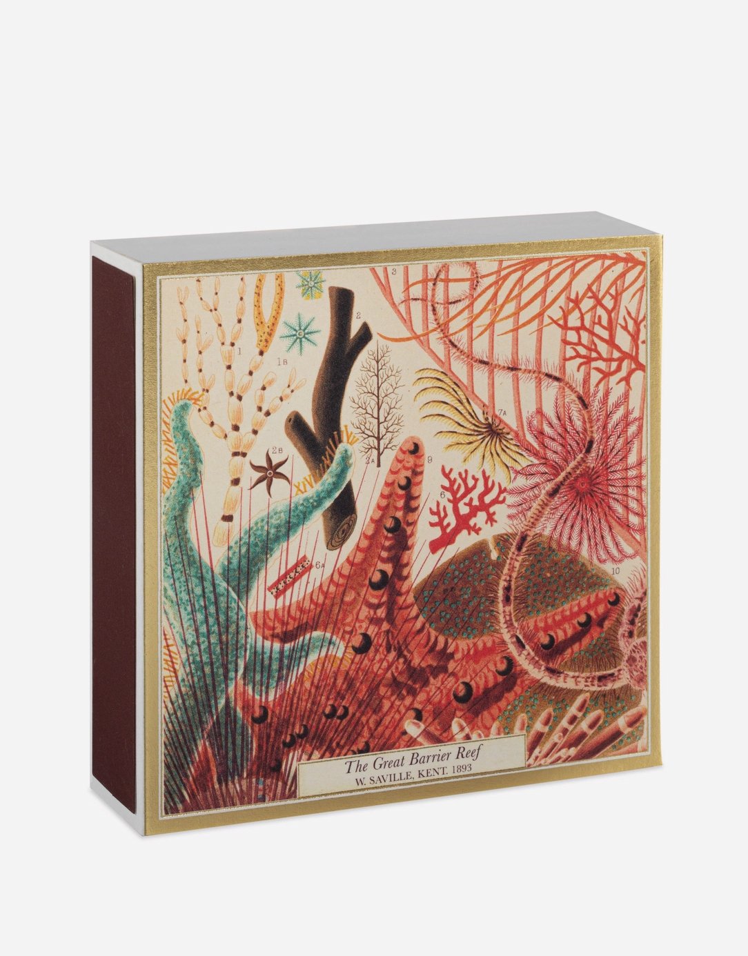 Great Barrier Reef 2a Square Matches .jpg