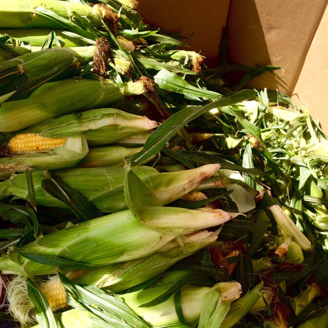 farmers-market-corn.jpg