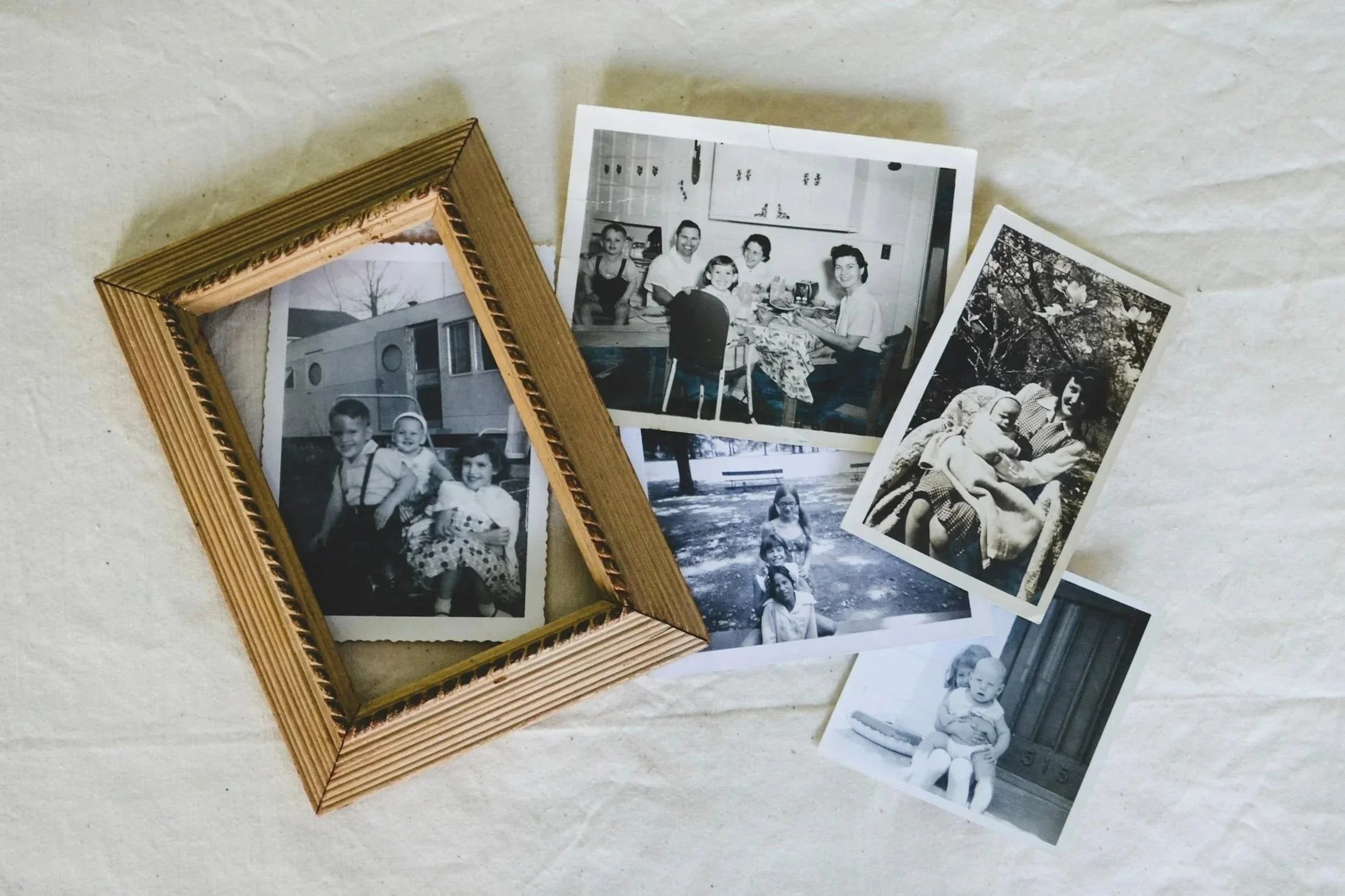 Genealogy Workshop with the Daughters of the American Revolution