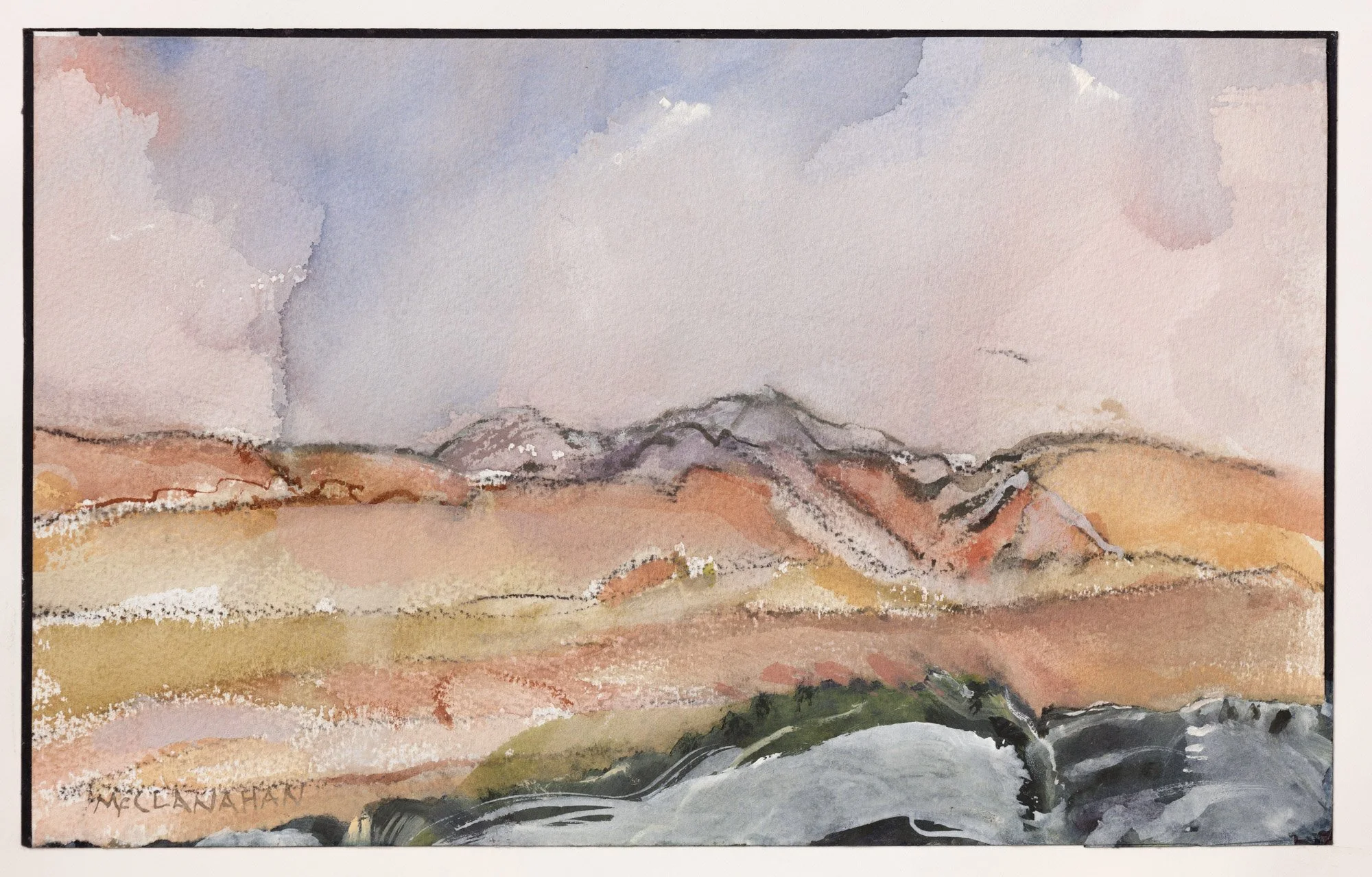 New Mexico Series #60