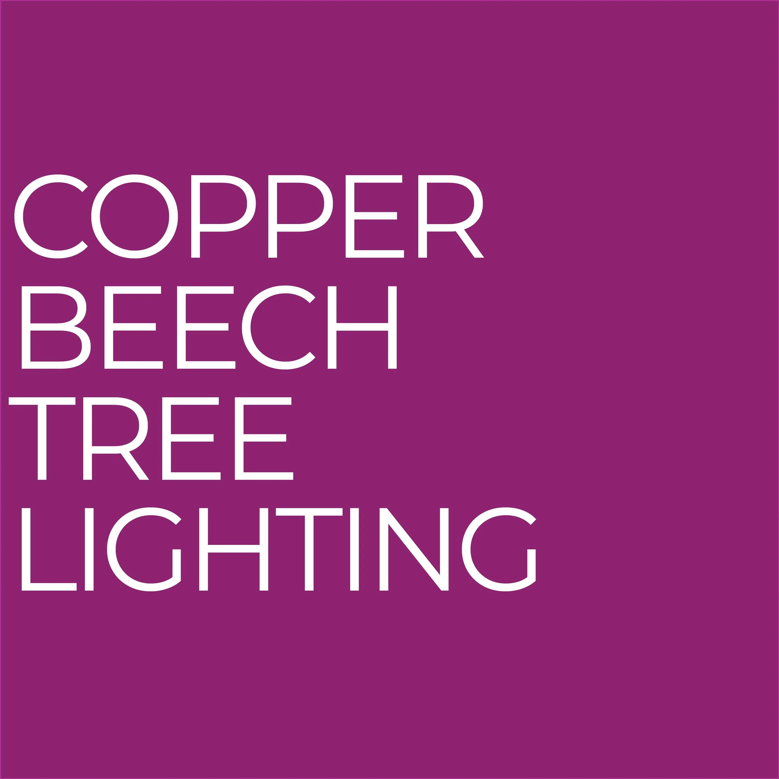 PMA Tree Lighting