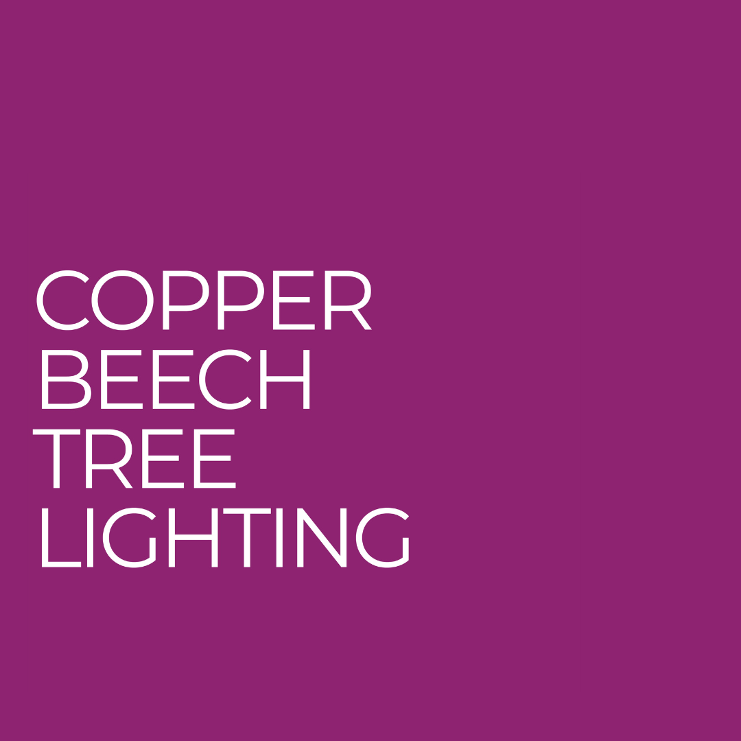 Copper Beech Tree Lighting with PMA and Oratorio Chorale