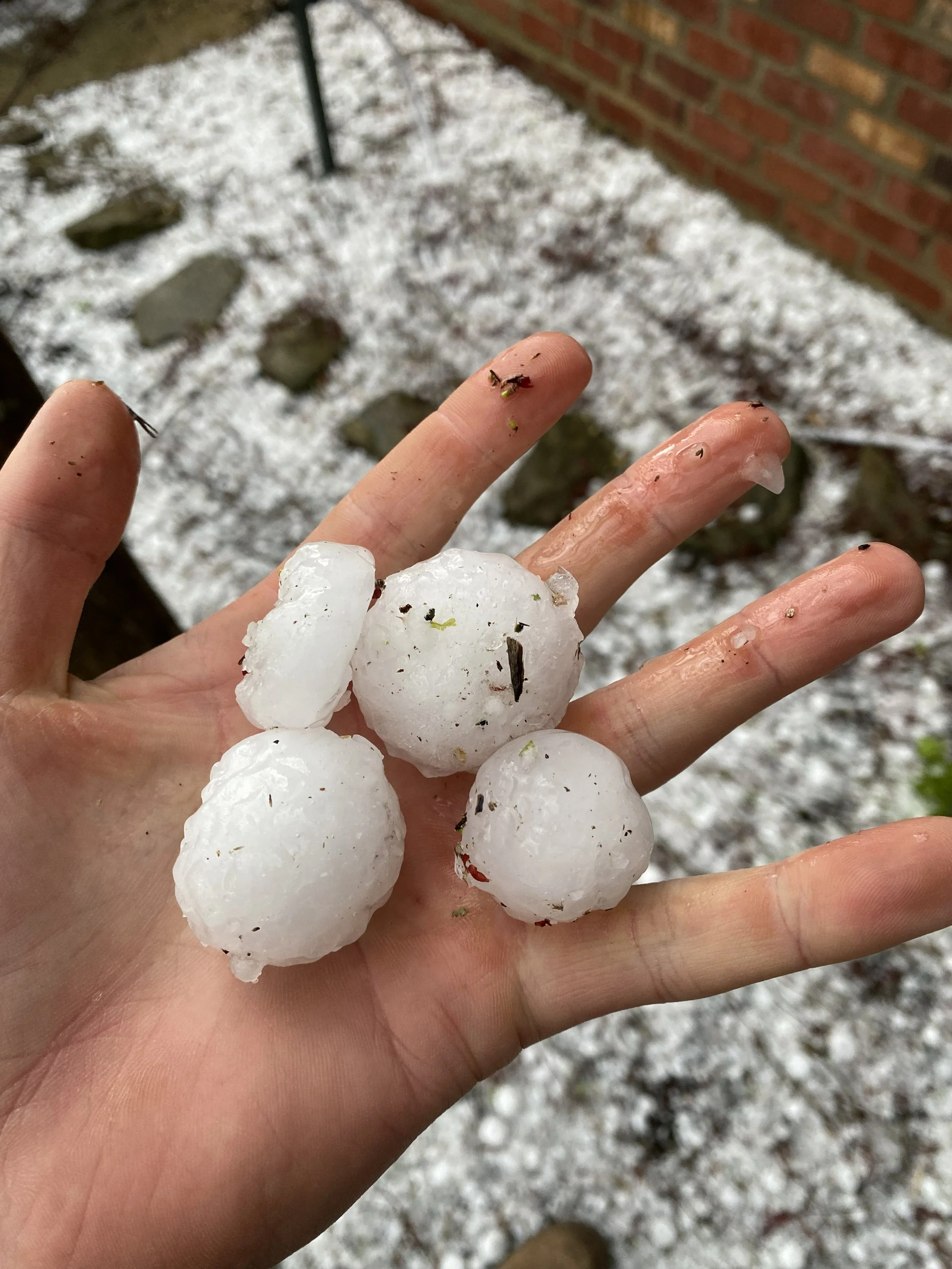 What to Expect After a Large Weather Event 