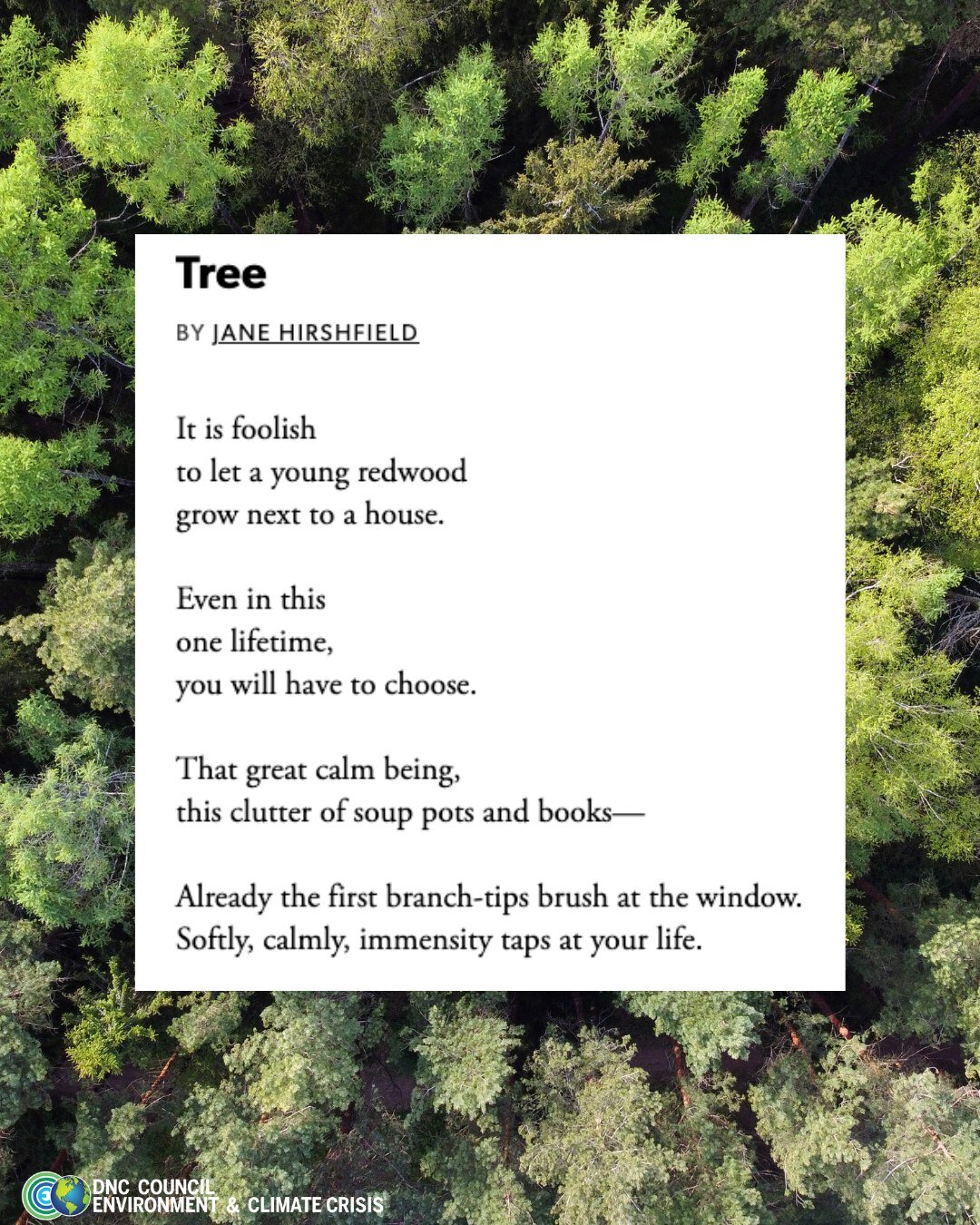 🌳 📚 A day to appreciate nature and verse: World Poetry Day and International Day of Forests were both March 21!

Sharing this poem by Jane Hirshfield.
.
.
.
.
#Poetry #InternationalForestDay #WorldPoetryDay #Climate #Nature