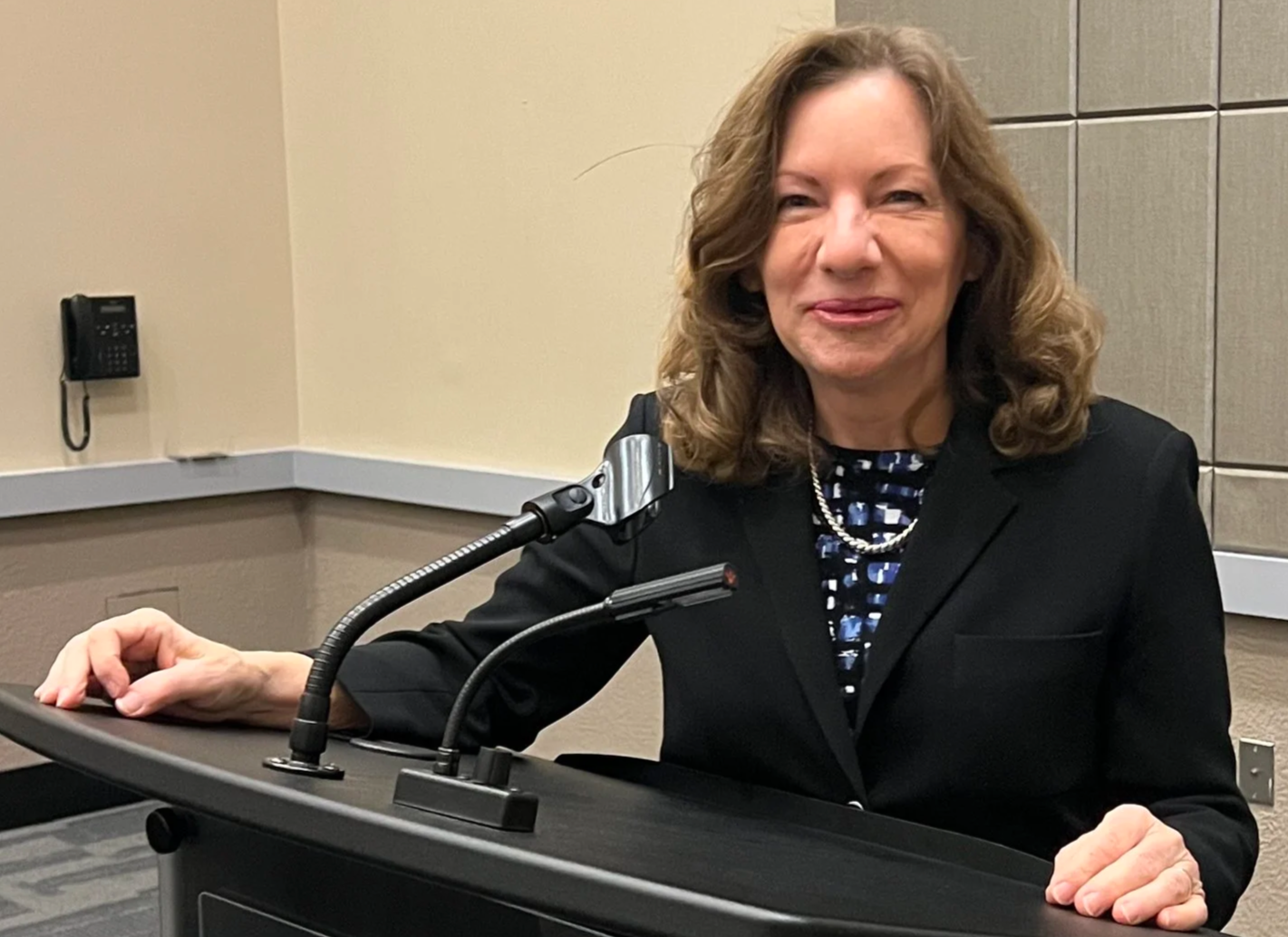 Chair Speaks at YDA Winter Meeting