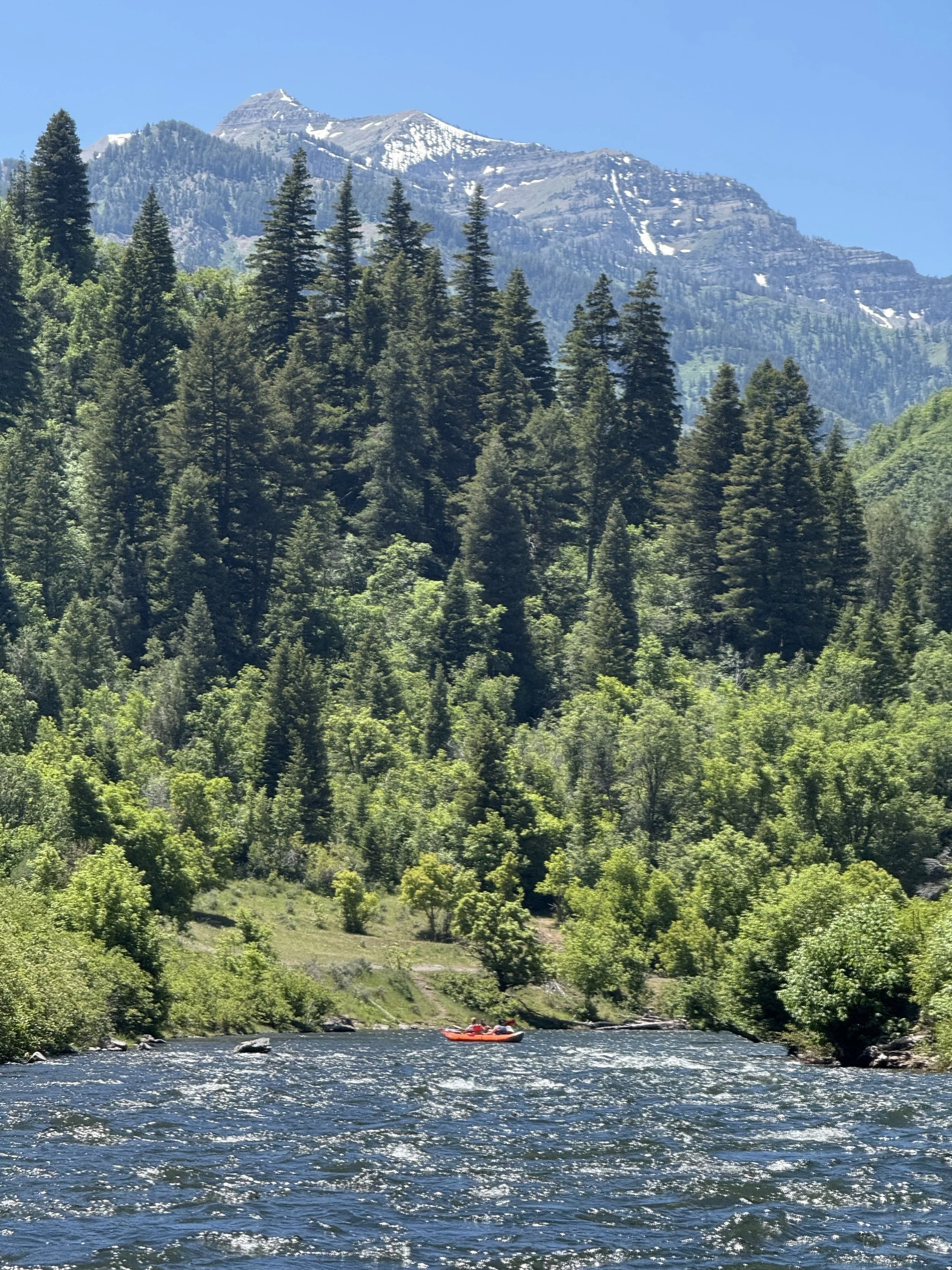 2026 The Health Summit at Sundance 