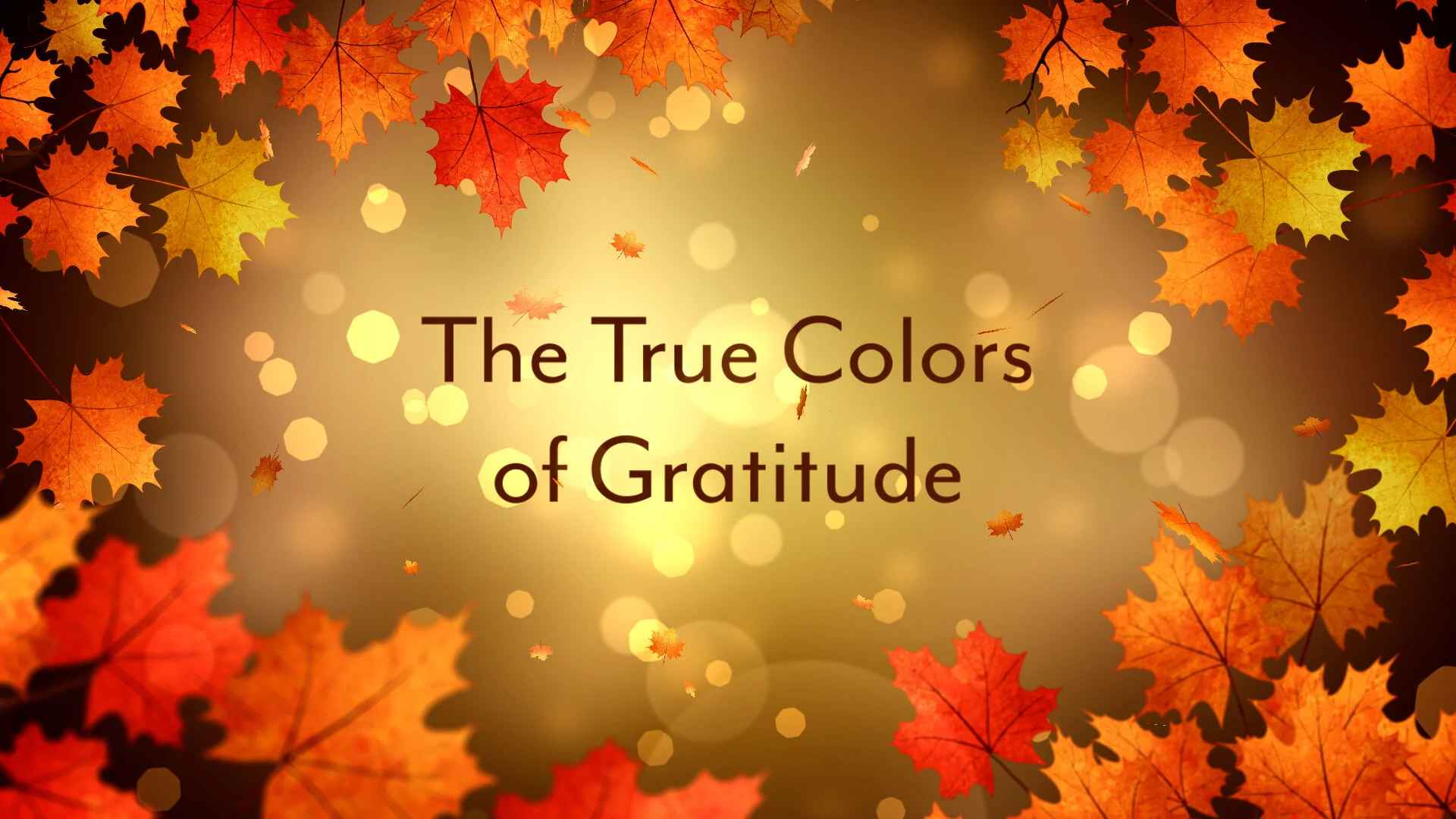The True Colors of Gratitude