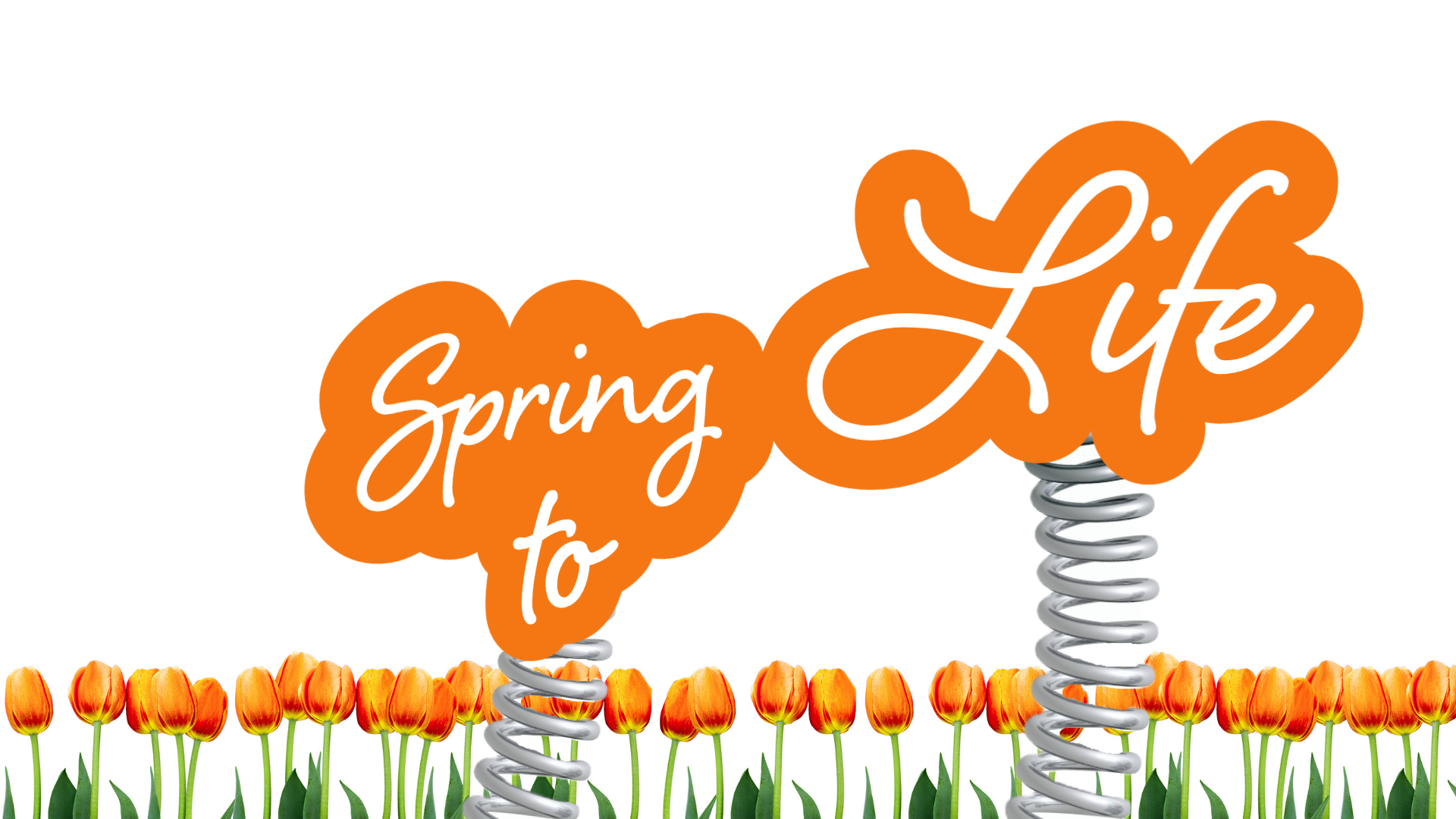 Spring to Life
