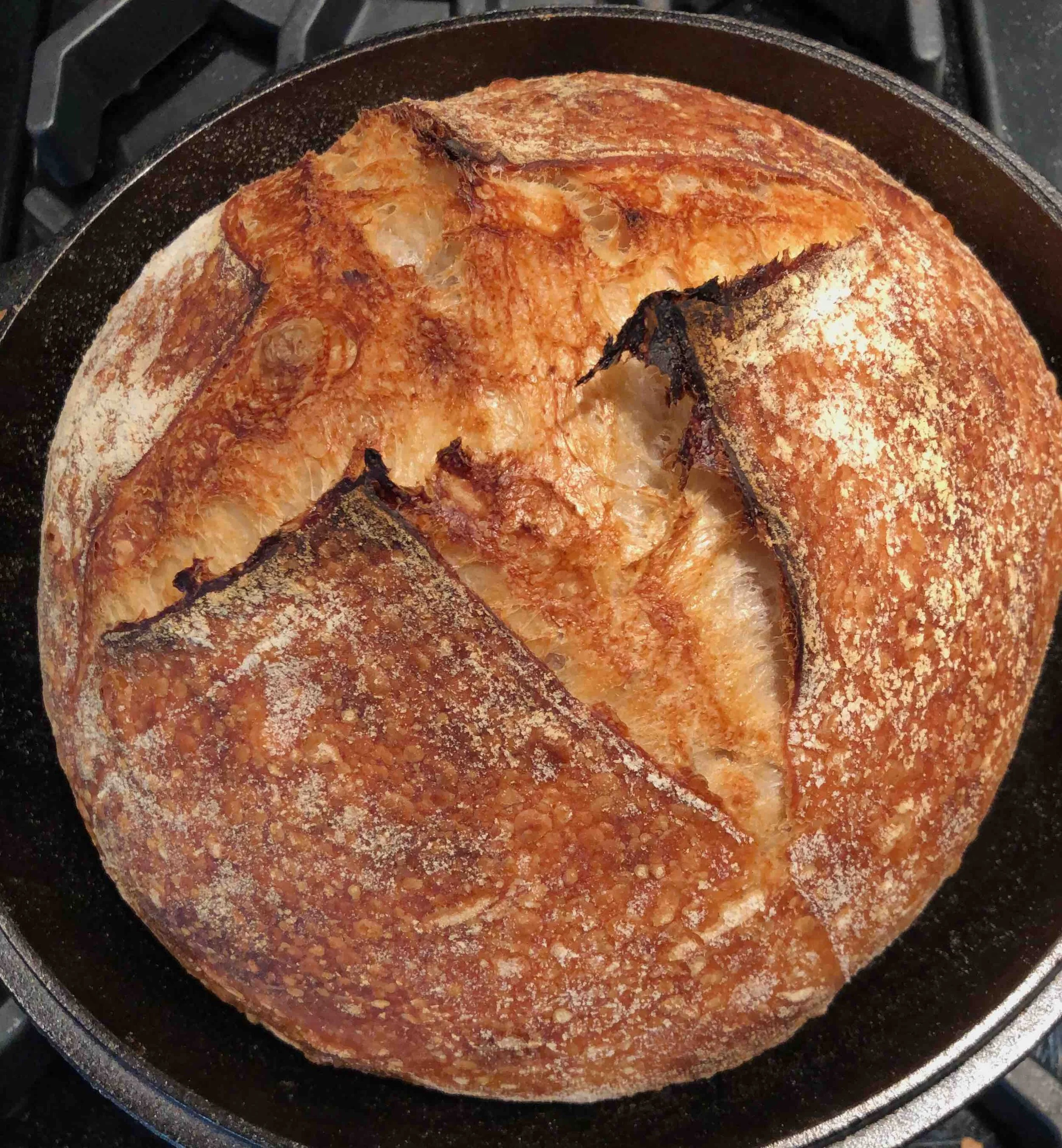 Sourdough Bread