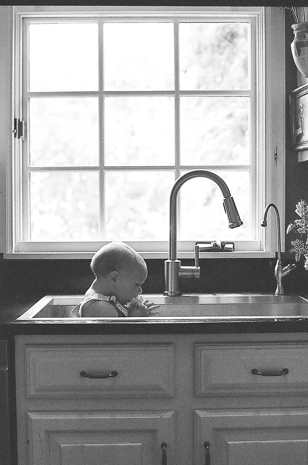 Rosie on Film-06.jpg