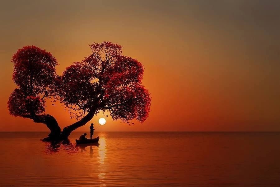132716-Fishing-In-The-Moonlight-.jpeg