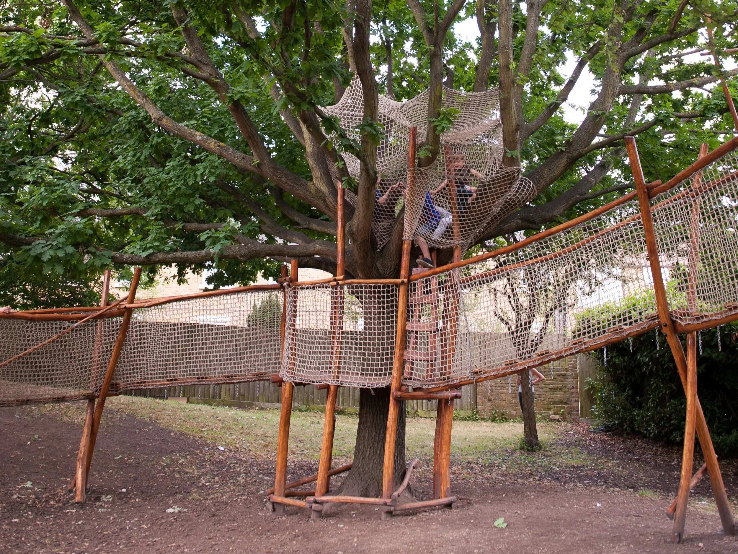 the climbable tree